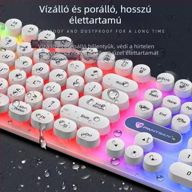 USB-s vezetékes billentyűzet és egér készlet, háttérvilágítással, asztali számítógépekhez és laptopokhoz