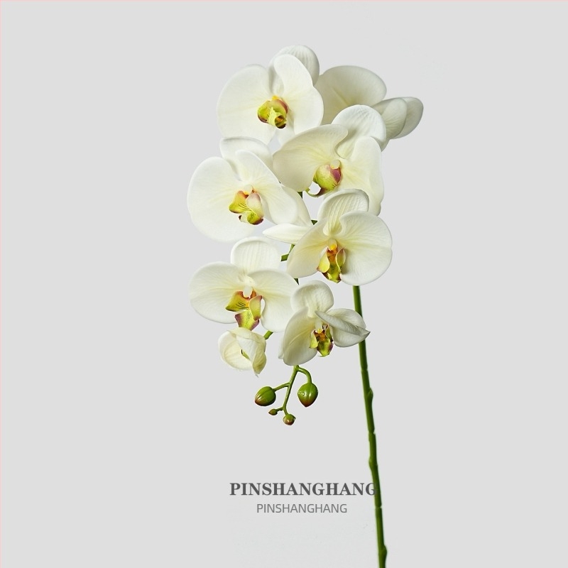 Mesterséges Phalaenopsis orchidaflóra – PVC anyag, gyártási kód 19040010902, márka Good character, faj Phalaenopsis