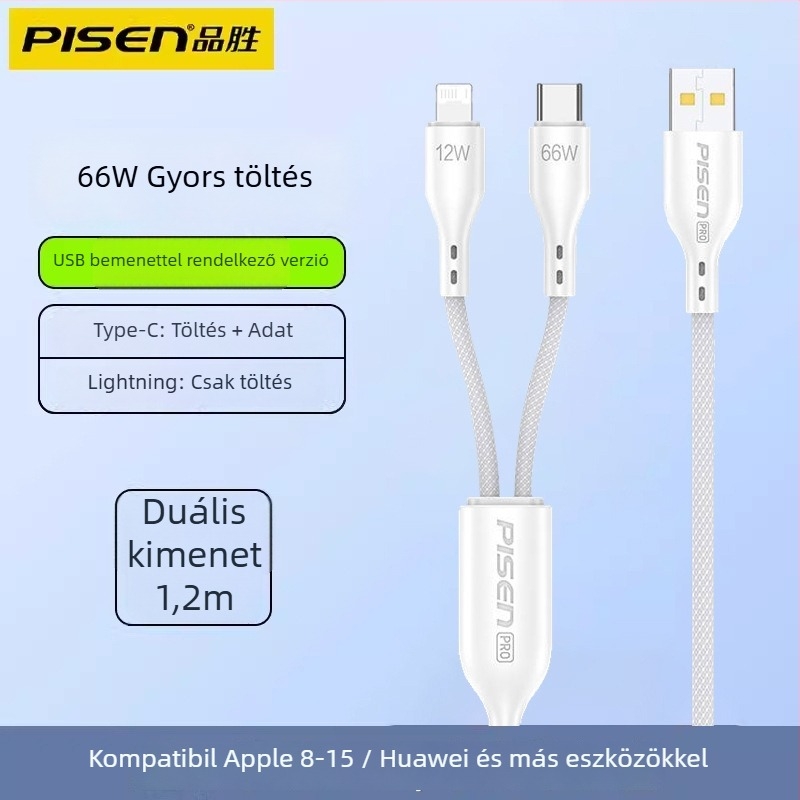 Pisen USB-C 2-in-1 adatkábel, gyors töltés, alumíniumötvözet, 100W kimenet, Type-C csatlakozó