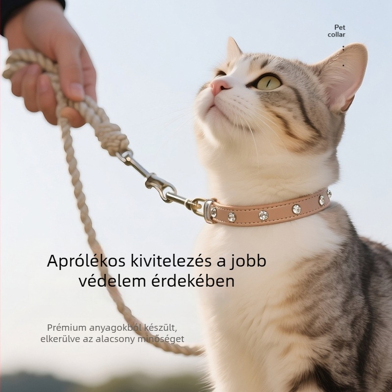 Bőr nyakörv kutyáknak és macskáknak gyémánt díszítéssel, kicsi és közepes méretek, hétköznapi stílus