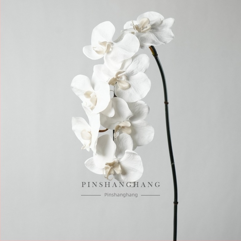 Mű Phalaenopsis orchidea, PVC, lágy tapintású felület, egyágú szár, Fashionable