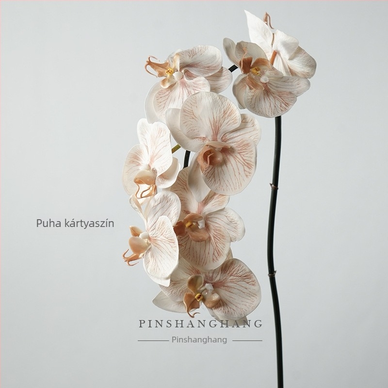 Mű Phalaenopsis orchidea, PVC, lágy tapintású felület, egyágú szár, Fashionable