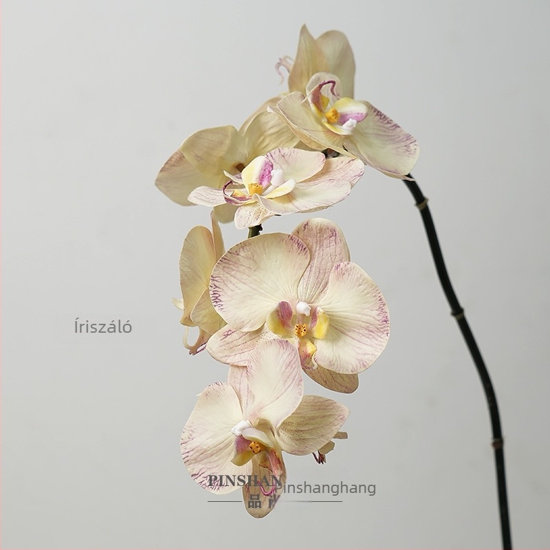 Mű Phalaenopsis orchidea, PVC, lágy tapintású felület, egyágú szár, Fashionable
