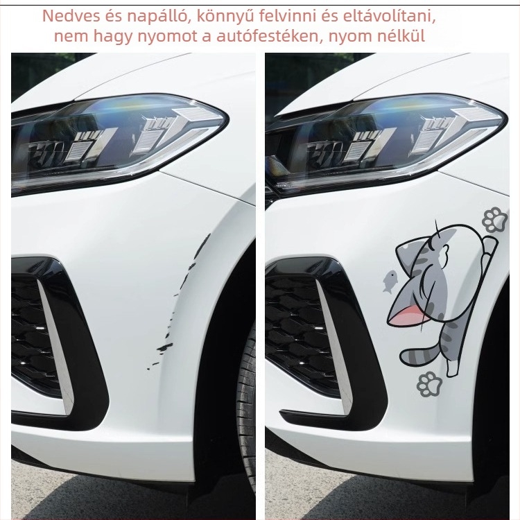 Autótest matricaszett kerékívhez és első/hátsó lökhárítóhoz, ragasztóval, testreszabható, rajzfilm mintázat