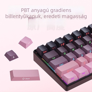 Gadiva mechanikus billentyűzet – vezetékes kapcsolat, univerzális kompatibilitás, RGB háttérvilágítás, ergonikus kialakítás, mechanikus kapcsolók