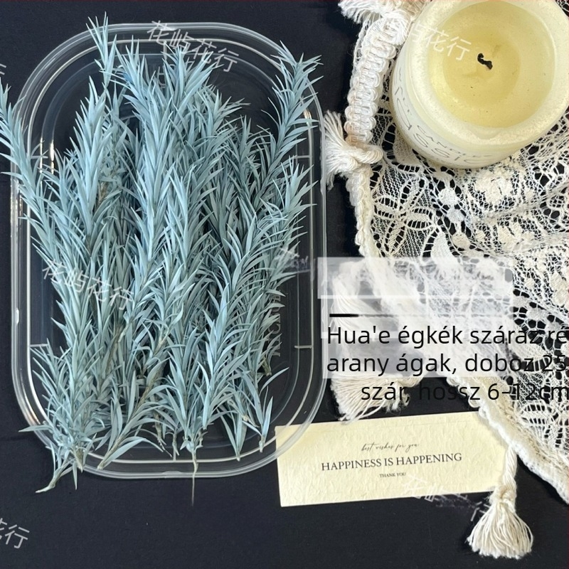 Megőrzött virágok DIY készlet | Többszintű változat | Termékkód Ali-727499540242