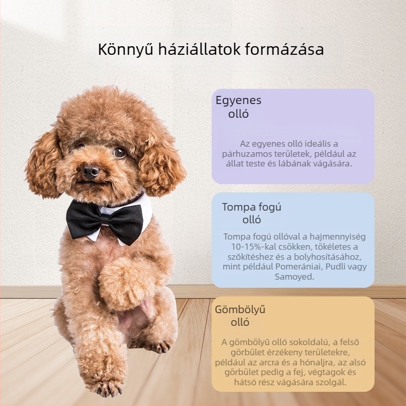 Gutche kutyaápolási ollókészlet — rozsdamentes acél, kutyáknak szőrápoló ollók, 400 darabos csomag, hivatalos magánmárka