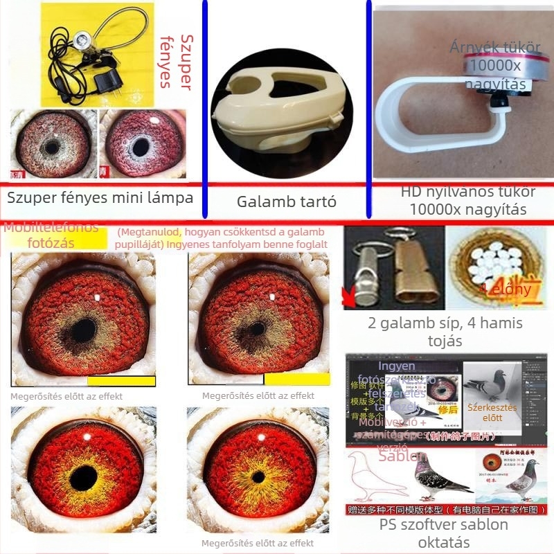 Galamb makro lencse nagyítóval madár szemének fotózásához (univerzális)