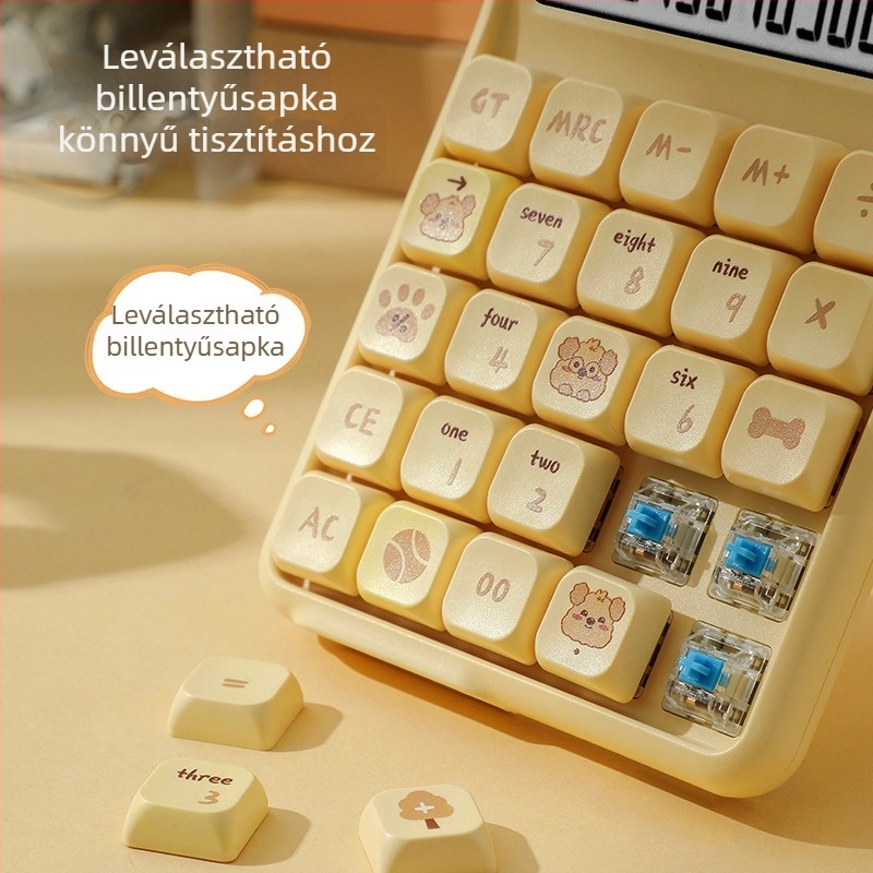 Pénzügyi és irodai használatra szánt aritmetikai számológép, modell 7258, ABS ház, 12 számjegyű kijelző, kivehető mechanikus billentyűk