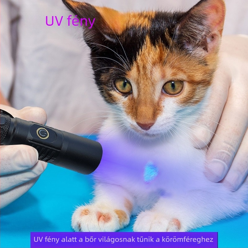 UV vizsgálati zseblámpa LED 10W, alumínium ötvözet test, akkumulátoros üzemmód, kézi hajtású generátor, hatótávolság legfeljebb 50 m