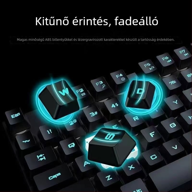 Kábeles billentyűzet és egér készlet - membrán billentyűzet, USB, 98+ billentyű, ergonómikus, egyszínű háttérvilágítás