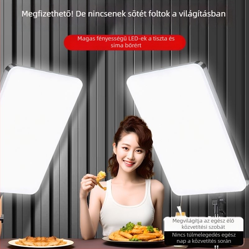 Wind Point LED kitöltő fény – 100W, asztali használat, három színhőmérséklet