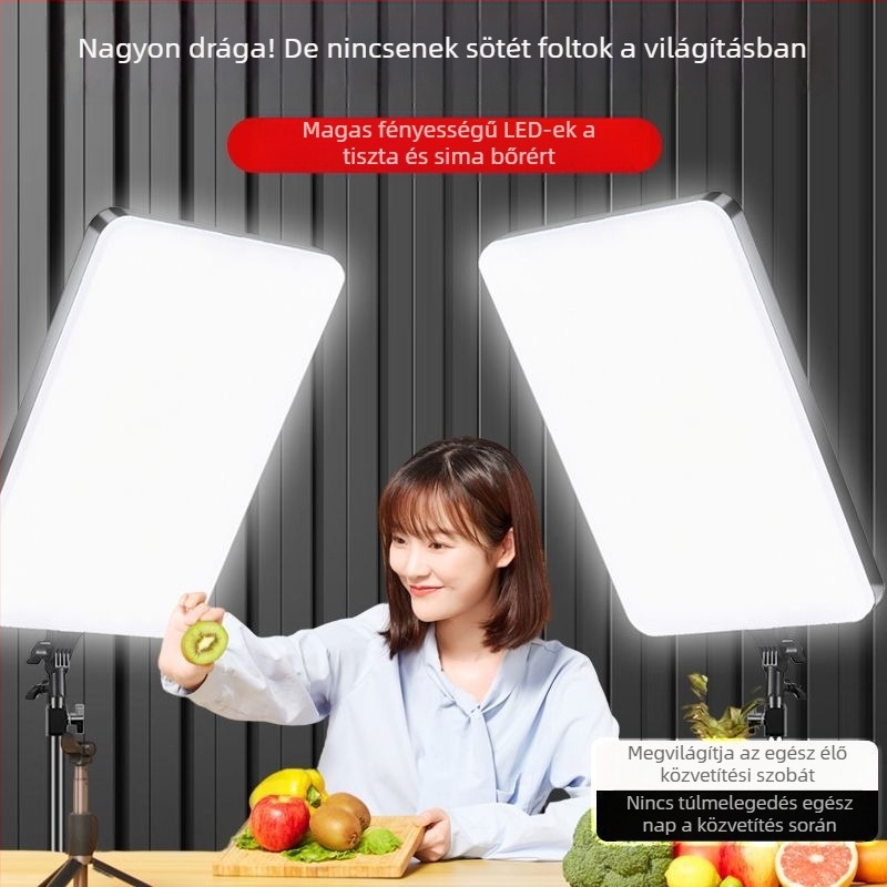 Wind Point LED kitöltő fény – 100W, asztali használat, három színhőmérséklet