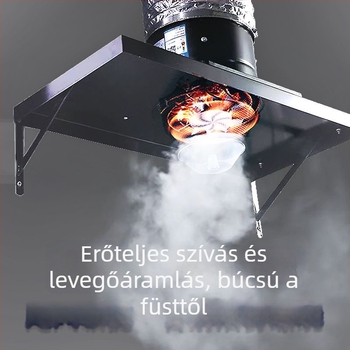 Konyhai kipufogó ventilátor nagy szívóerővel, FD250 modell, függőleges szerelés, 220V, 50W, vasból készült ház