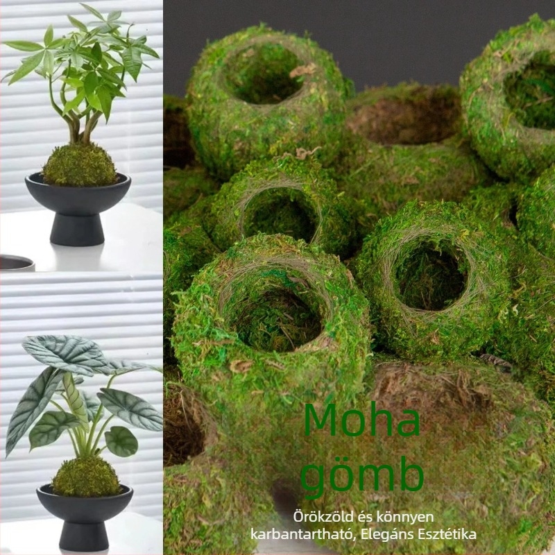 Haoyi kerámiás moha gömb növénytartó — Dendrobium orchidea mini tájkép, karton csomagolás, kihelyezhető