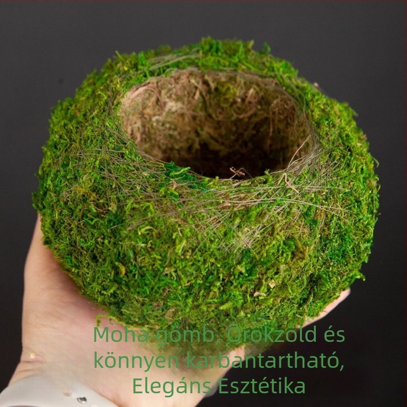 Haoyi kerámiás moha gömb növénytartó — Dendrobium orchidea mini tájkép, karton csomagolás, kihelyezhető