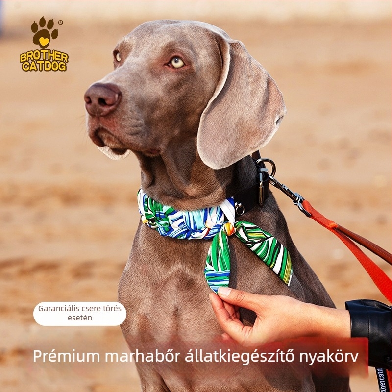 Valódi bőr kutyanyakörv közepes és nagytestű kutyáknak, marhabőrből készült nyakörv