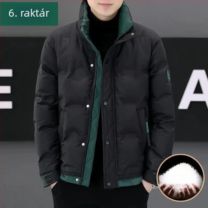 Férfi rövid tolldzseki állógallérral, hétköznapi stílus, Koreai stílus, karcsú szabás