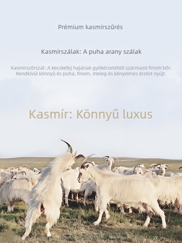 Modal-kasmír keverék kötött ing – üzleti casual stílushoz, hosszú ujjú, négyzetes gallér, vasalás nélkül, vastagított