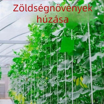 Textil kötőszalagok csatokkal – időjárásállóak, háztartási célokra, ideális a gyümölcsfa ágainak kötözéséhez és tárgyak rögzítéséhez (Max teher 50 kg; Működési hőmérséklet 110; Standard: tiszta vászon; Márka: Zhi chen)