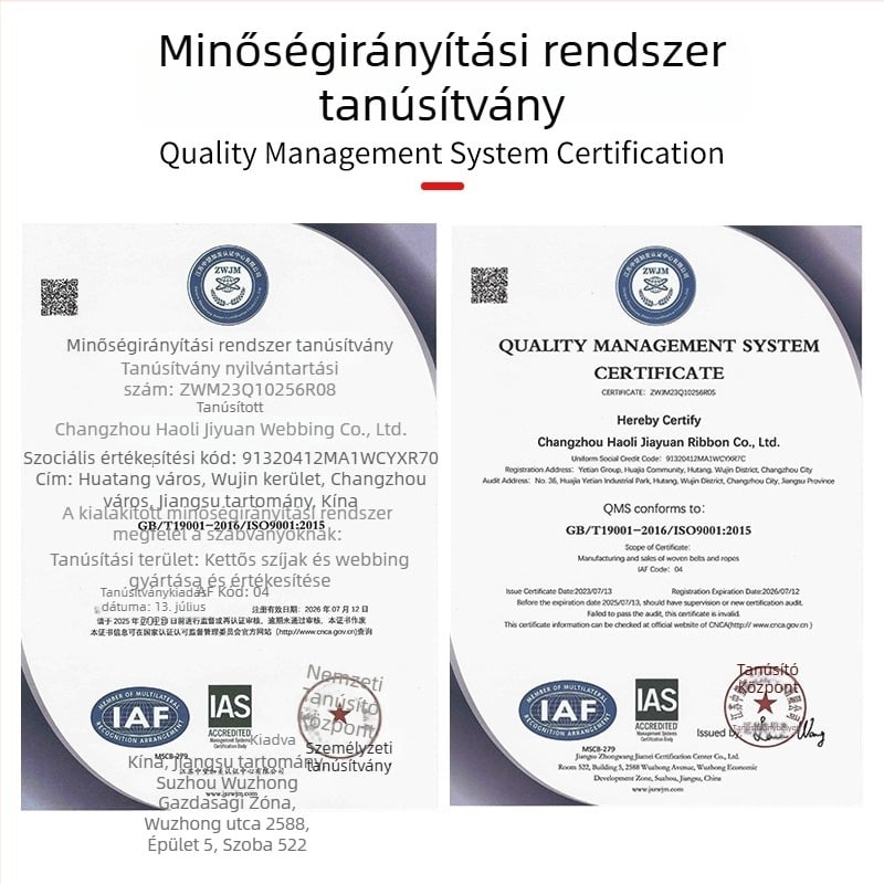 Poliészter rögzítő heveder dupla horoggal és ratchet feszítővel, kopásálló, sík webes heveder