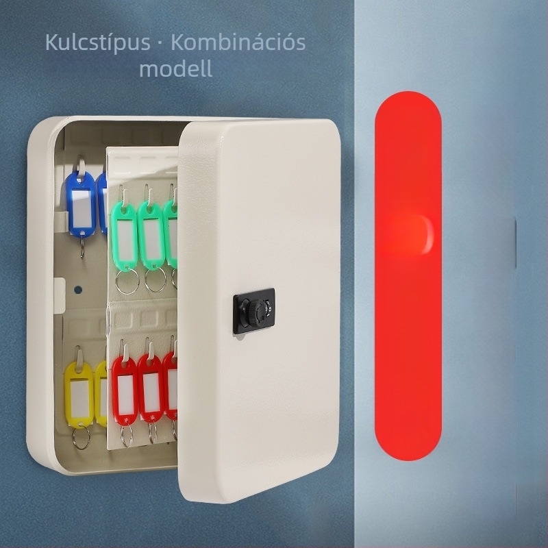 Fém falra szerelhető kulcstartó szekrény modell 206 — ingatlanügynökségeknek, kültéri használatra, téglalap alakú, modern minimalista stílus