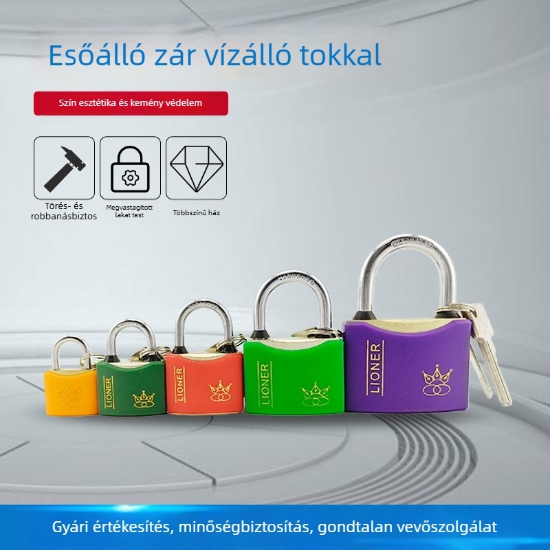 Kulcsos lakat, esőálló, rozsdamentes, betörés- és lopás elleni védelem; ideális táskákhoz, ajtókhoz, ablakokhoz, raktárakhoz és kollégiumi szobákhoz