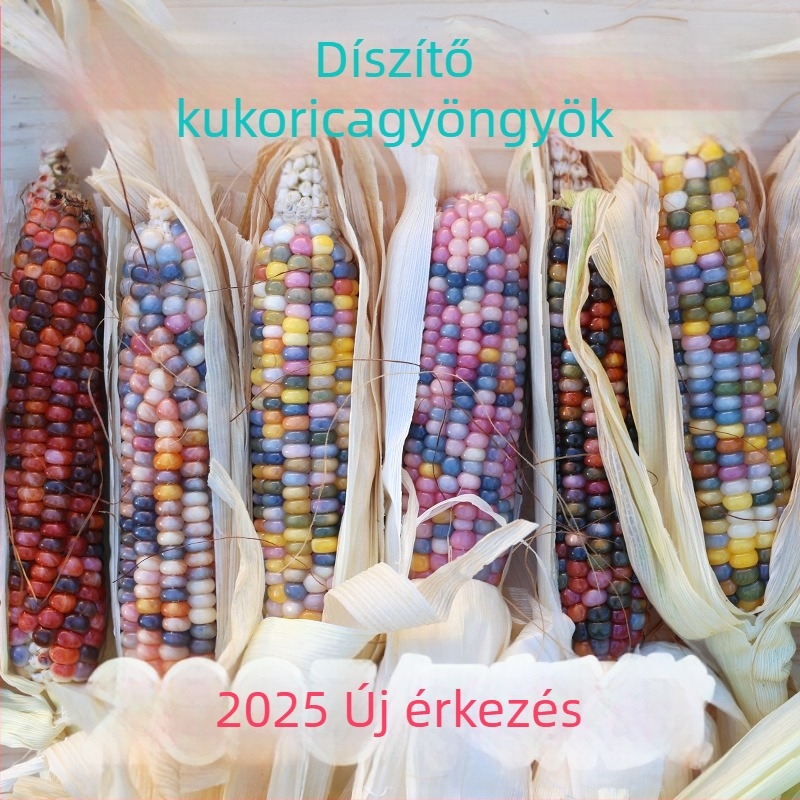 Kukorica témájú minimalist dekoráció | félkézi és félgépi kidolgozás | ideális reklám- vagy üzleti ajándék | szellemi tulajdonjog nélkül