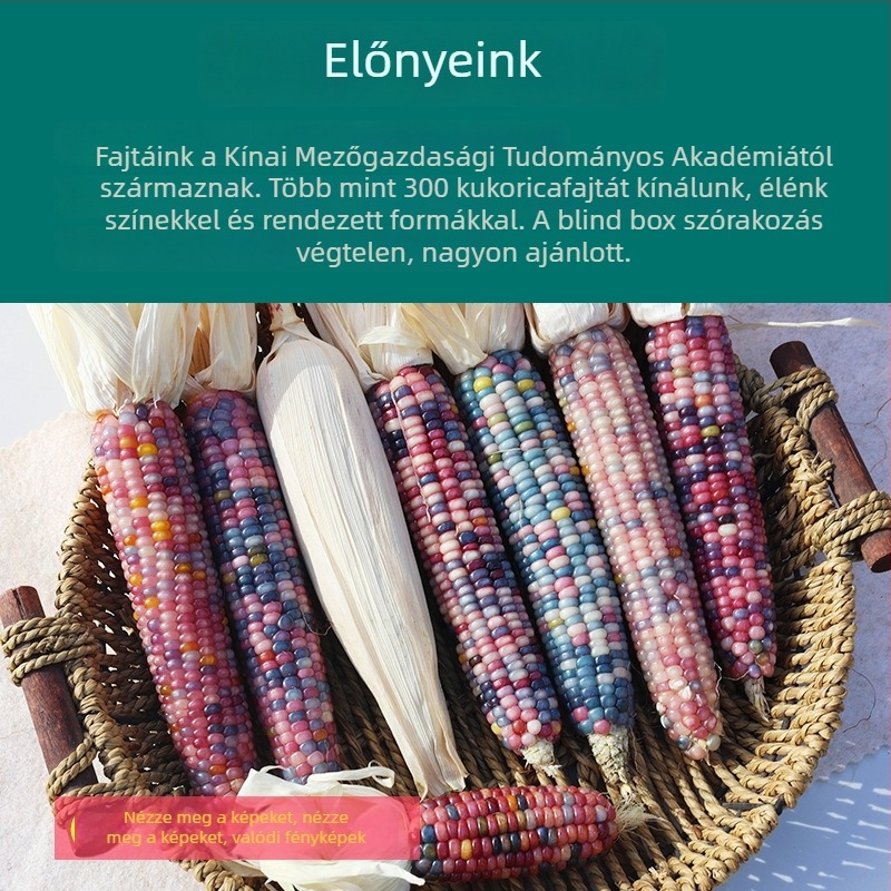 Kukorica témájú minimalist dekoráció | félkézi és félgépi kidolgozás | ideális reklám- vagy üzleti ajándék | szellemi tulajdonjog nélkül