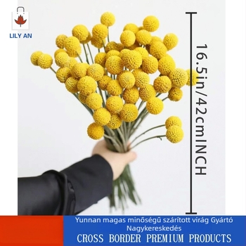 Szárított virágok gömbcsokor – Lily'an; Anyag: szárított virágok; Fajta: Gold Ball; Ajándék célokra: esküvők, születésnapok, lakásavatók, diplomaosztók, ünnepségek