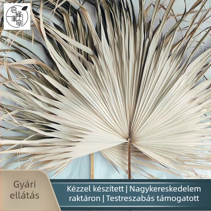 Nagy pálmalevél szárított virágok belső dekorációhoz, esküvői dekorációhoz és kiskereskedelmi kiállításhoz
