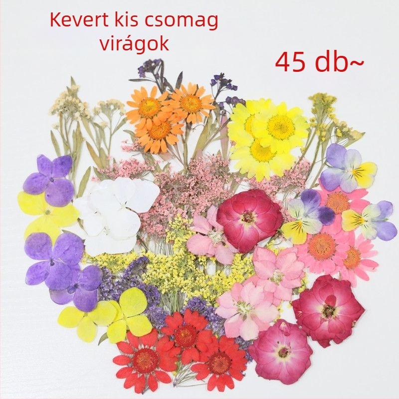 Festett szárított virágminták DIY kézműves projektekhez, gyantás alkotásokhoz és fotózáshoz