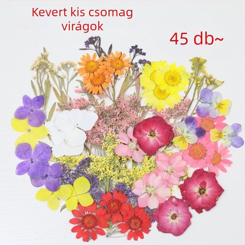 Festett szárított virágminták DIY kézműves projektekhez, gyantás alkotásokhoz és fotózáshoz