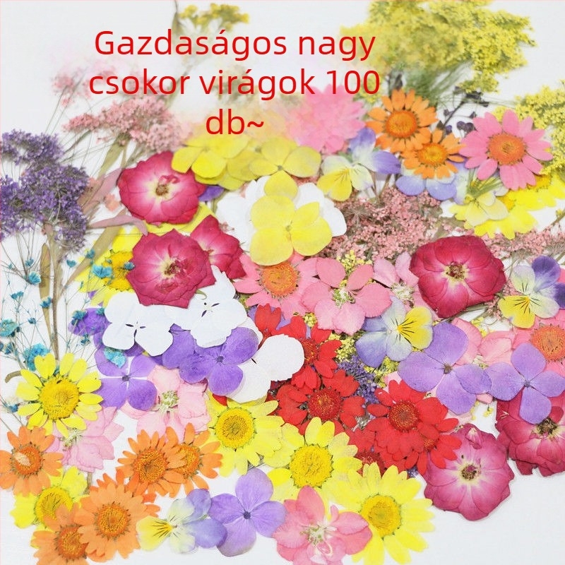 Festett szárított virágminták DIY kézműves projektekhez, gyantás alkotásokhoz és fotózáshoz