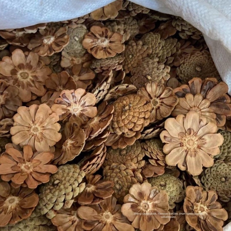 Fenyőtoboz virágok Daisy — drótos szövésű kézműves készlet esküvői dekorációhoz