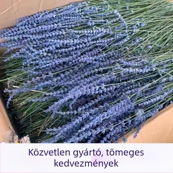 Levendula és orchidea szárított virágok kötege, dekoratív szárak