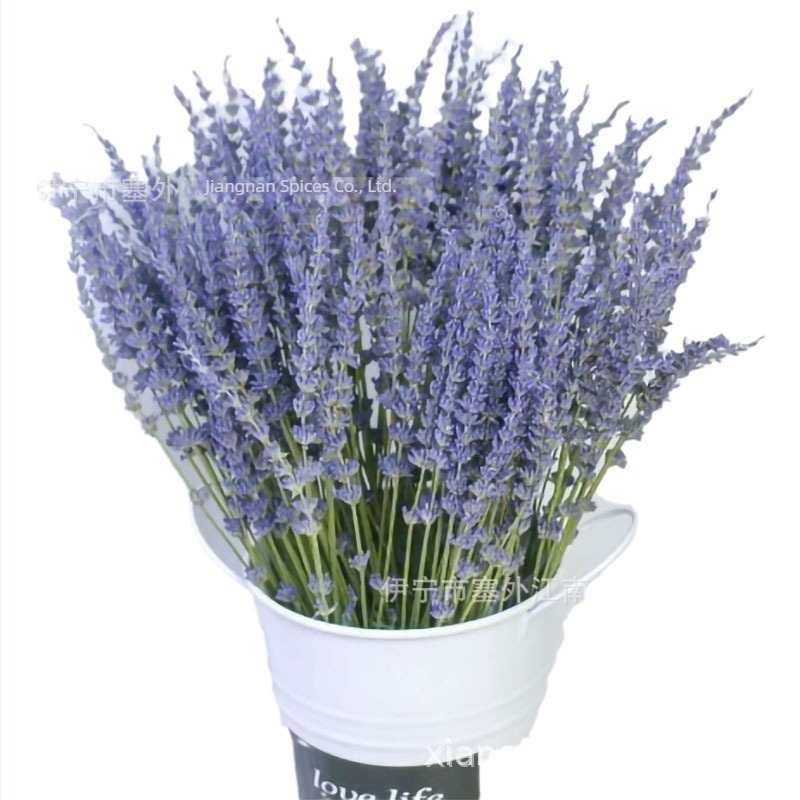 Levendula és orchidea szárított virágok kötege, dekoratív szárak