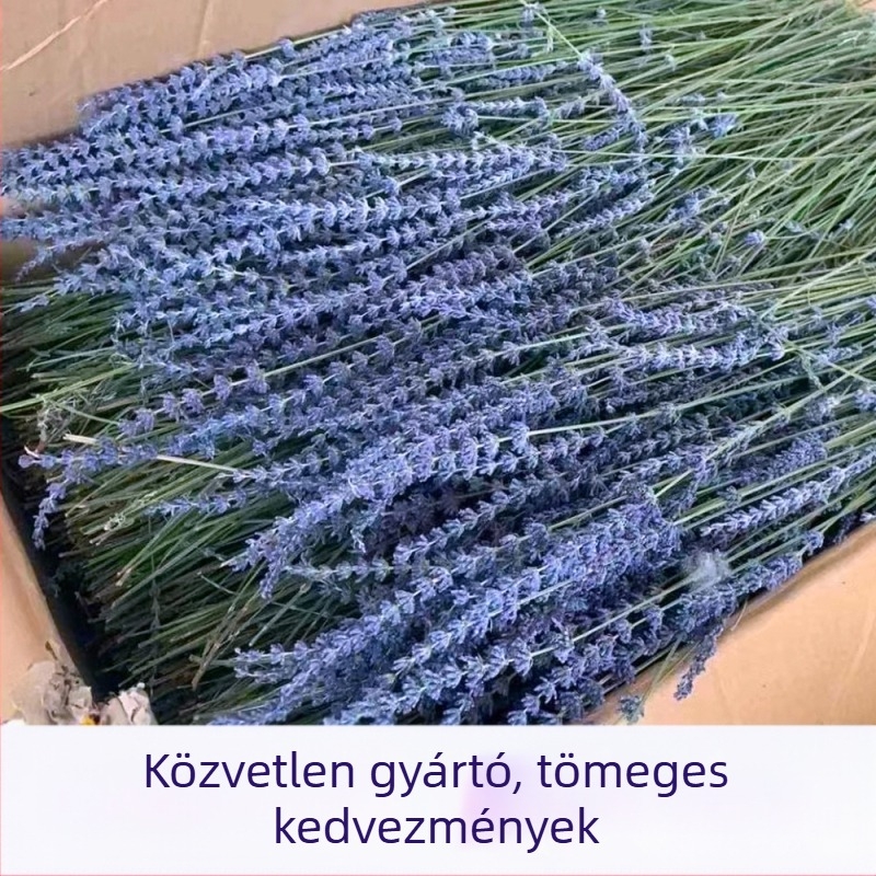 Levendula és orchidea szárított virágok kötege, dekoratív szárak