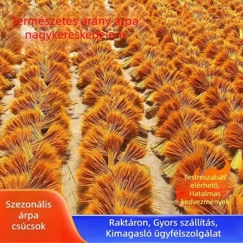 Szárított gabonaszálak köteg — Típus: Ágak; Kategória: Szárított növények virágai; Importált: Nem; Fajta: Konzultáció; Festett: Igen