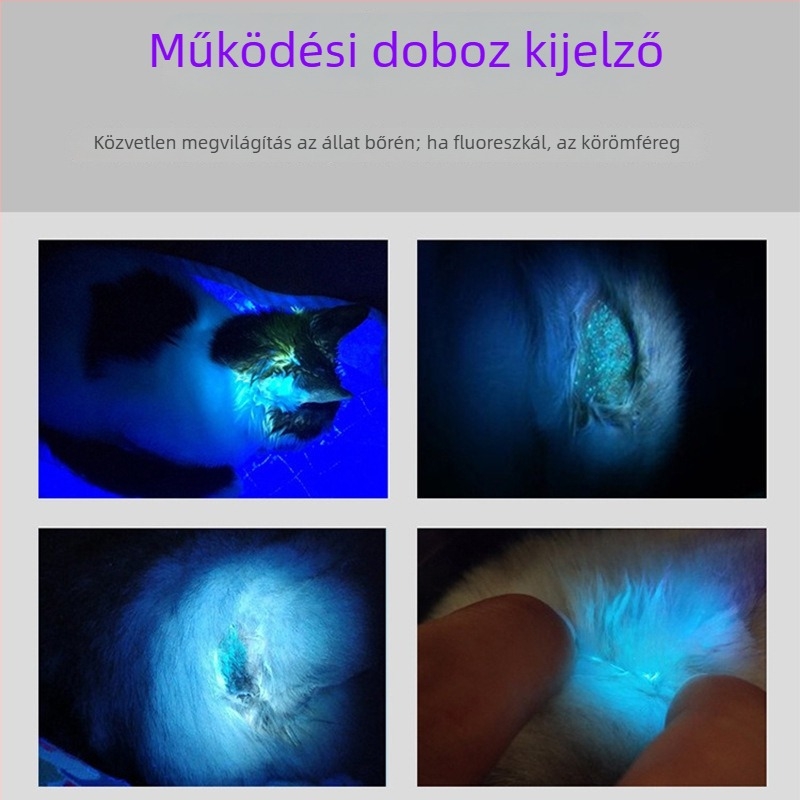 Macska körömgomba fluoreszcens detektáló lámpa, UV fény, műanyag test, csomagolás 240