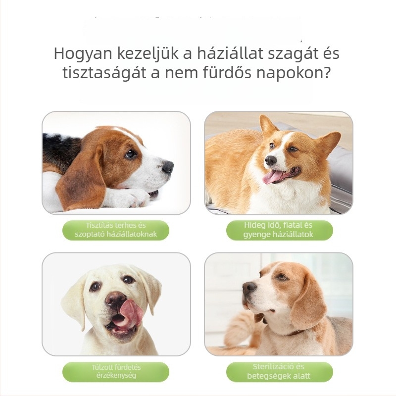 Weilian Egyszer használatos háziállat tisztító kesztyűk – kutyáknak és cicáknak, spunlace anyag, illat: Clear Tea Light, 6 db/csomag, 48 csomag/doboz