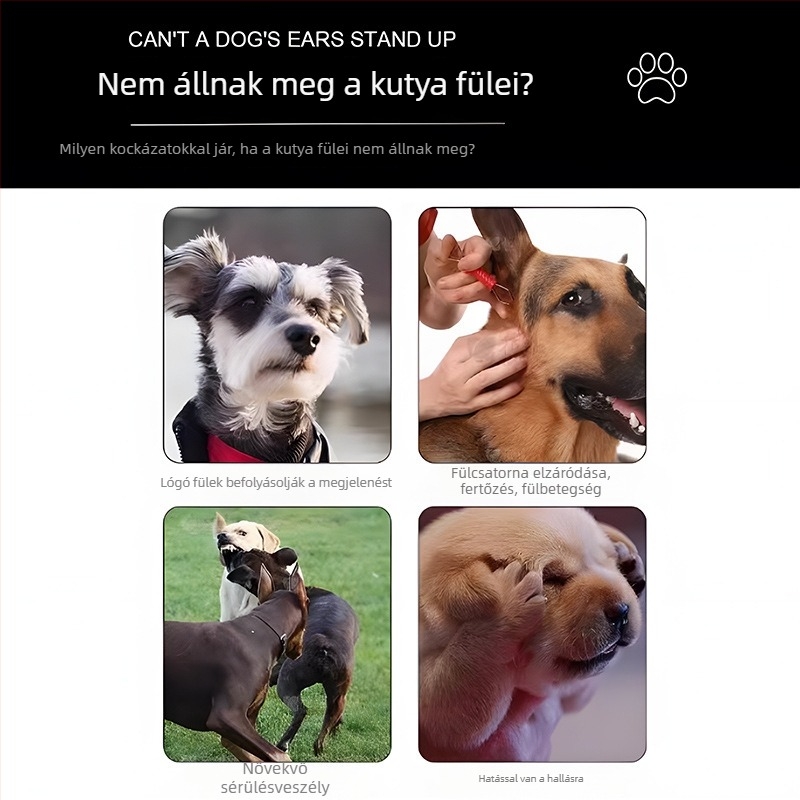 Kutya fül fixáló eszköz - Műanyag; 100 darabos doboz; Kutyáknak (Anyag: Műanyag; Doboz mennyiség: 100; Cél: Kutyák)