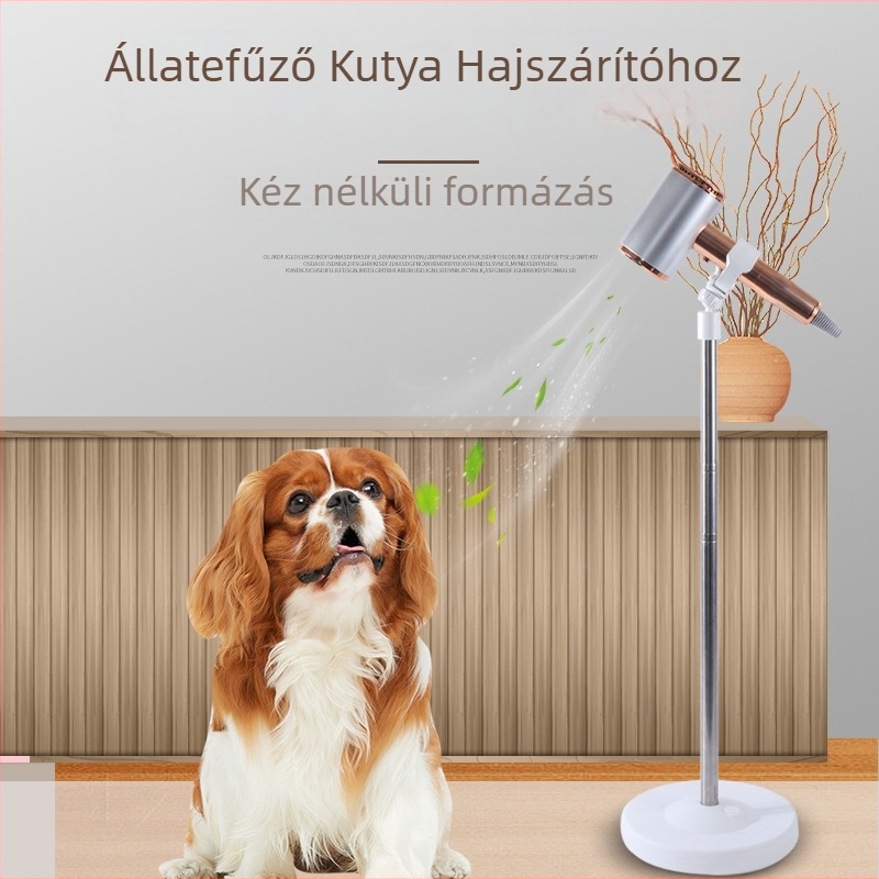 Rozsdamentes acélból készült kutya hajszárító padlóállvány és fix tartó – Kisállatgondozási felszerelés