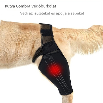 Kutya láb sérülés támogatás: elülső és hátsó láb védőburkolatok, szabályozható posztoperatív térd- és combvédő — OEM márka, len anyag, nem importált