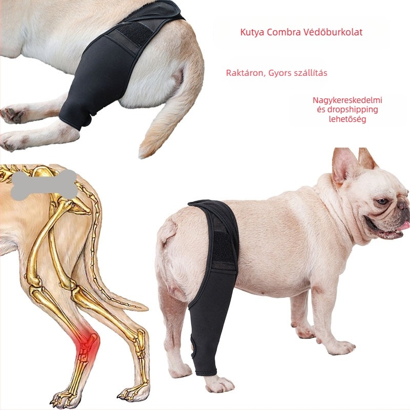 Kutya láb sérülés támogatás: elülső és hátsó láb védőburkolatok, szabályozható posztoperatív térd- és combvédő — OEM márka, len anyag, nem importált