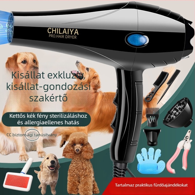 Háziállat hajszárító kutyáknak és macskáknak – nagy teljesítmény, csendes, nagytestű fajtákhoz
