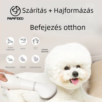 Kutyák és macskák szőrzetének szárítására és fésülésére szolgáló all-in-one készülék – háztartási használatra, 1000W alatt, 220V