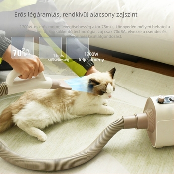 Állateledel-szárító fúvóberendezés — kar nélküli dizájn, nagy teljesítmény, alacsony zajszint, modell GDF01B, 1600W, AC motor, 110V, spirális fűtőelem