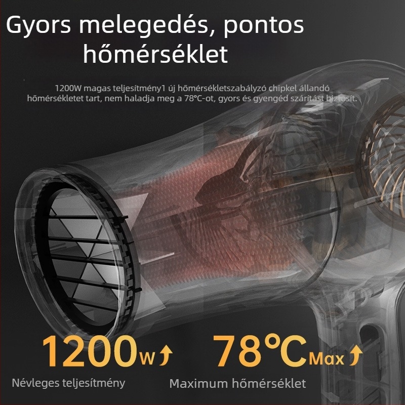 Hd-101 Kisállat hajszárító macskáknak és kutyáknak, AC motor, 1200–1599 W, 220 V, Túlmelegedés elleni védelem