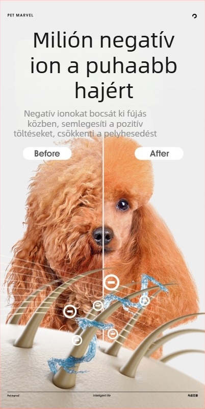 Háziállatok ápolására szolgáló hajszárító – mindent egyben macskáknak és kutyáknak, modell Ono H1, 1000W alatt, AC motor, spirál fűtőelem, 220V